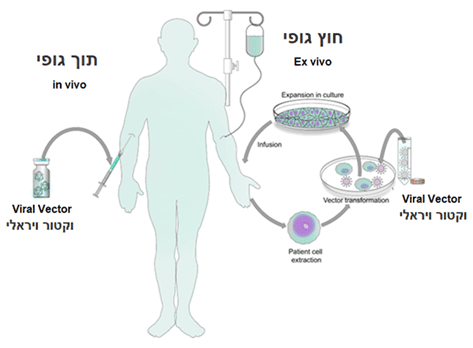 The National Viral Vector Manufacturing Facility Inititive - GYT Analytics