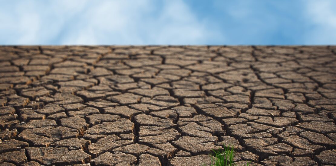Earth Drying