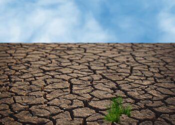 Earth Drying